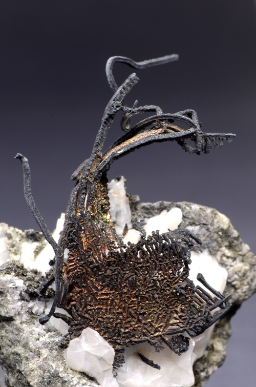 Silver - Batopilas, Andres del Rio District, Mun. de Batopilas, Chihuahua, Mexico